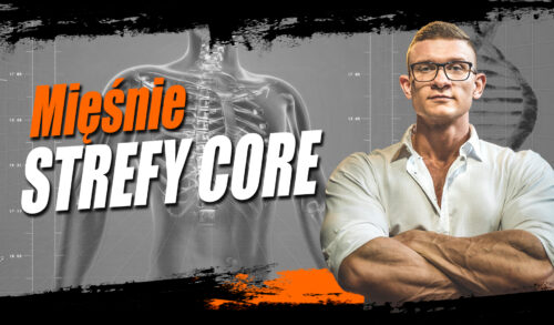 MIĘŚNIE-STREFY-CORE-baza-wiedzy---okładka---KUŹNIA